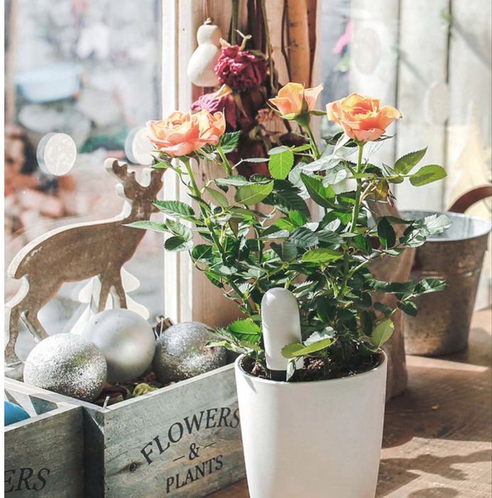 Анализатор почвы с приложением Flora Flower & Grass Monitor