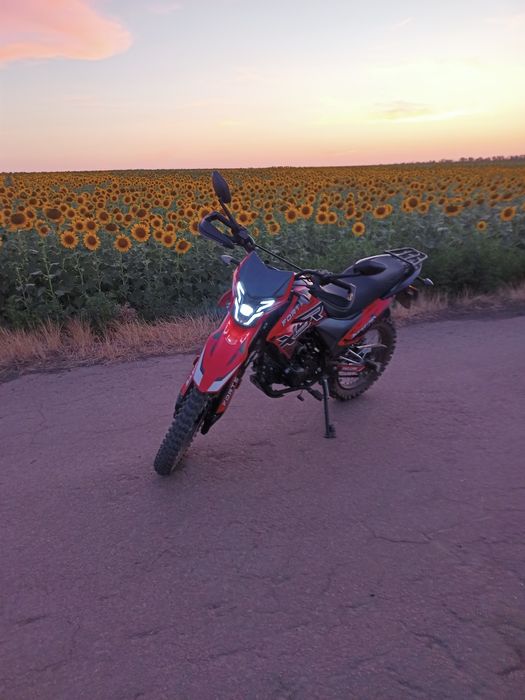 Forte 250 crosss Pro