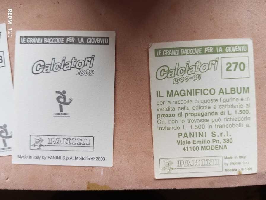 Fernando Couto Panini