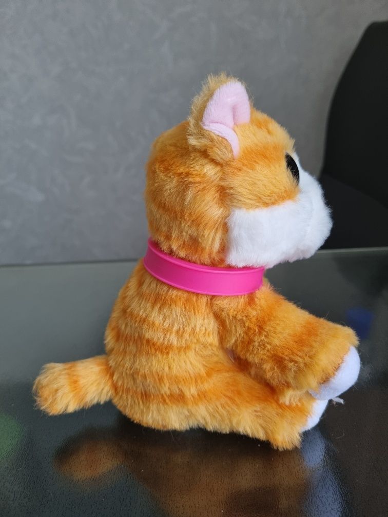 Руде Кошеня Scruff A Luvs Няшка-потеряшка глазастик Котик рыжий