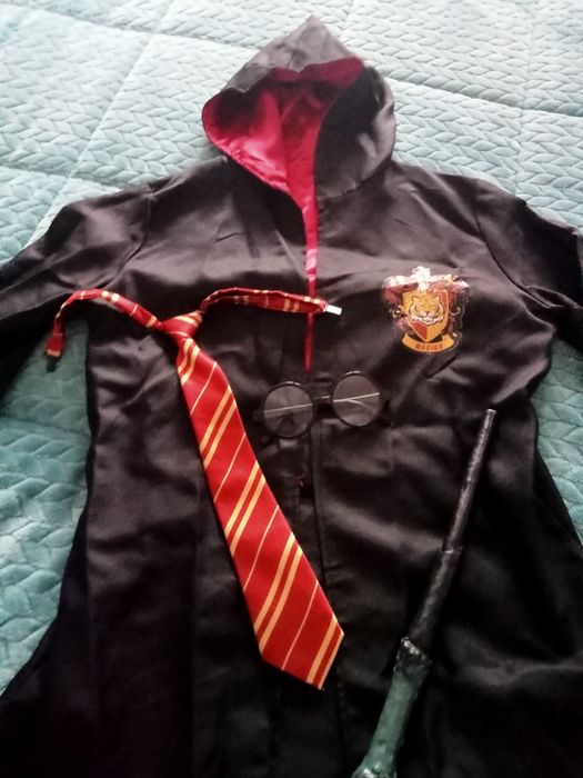 Disfarce carnaval Harry Potter