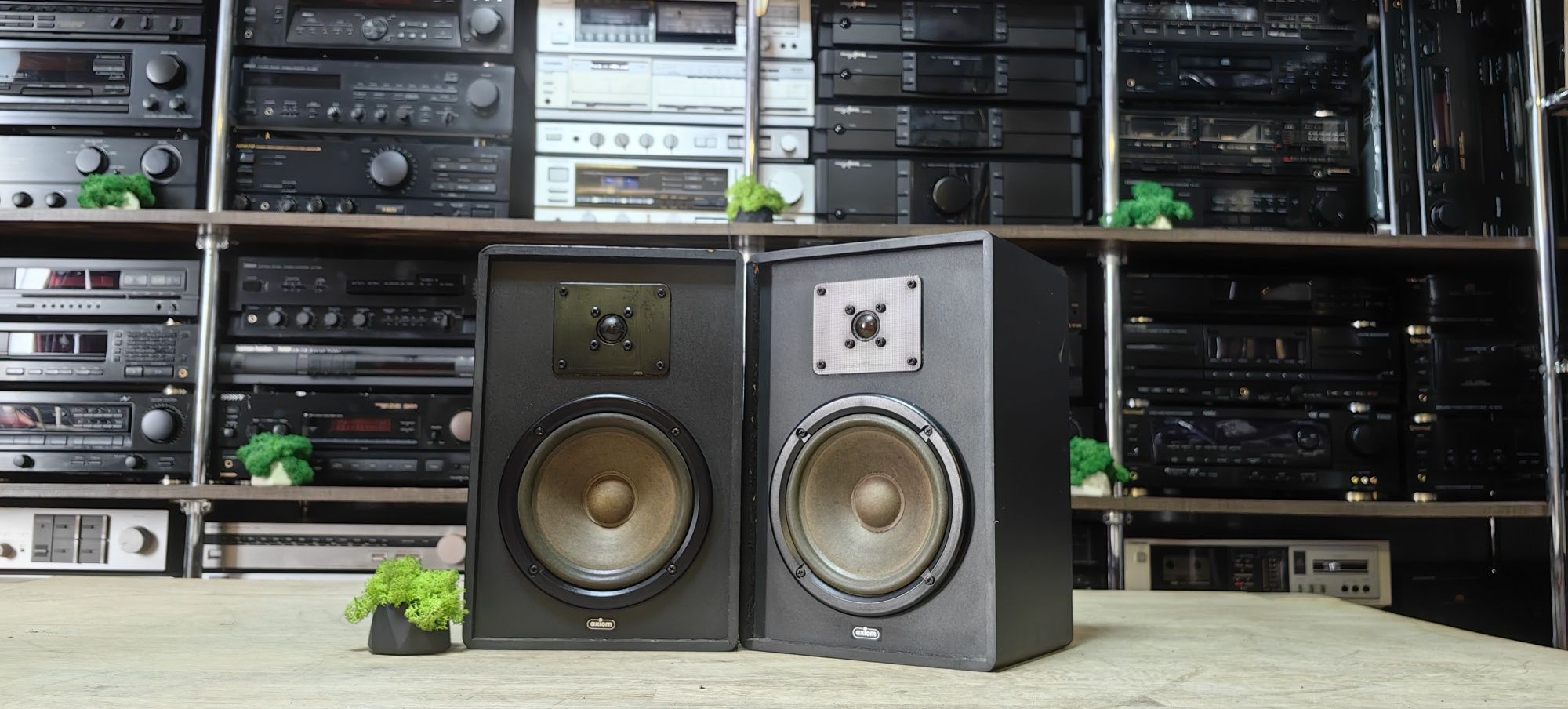 2-х полосна акустика Axiom SMP 50/4Ω
