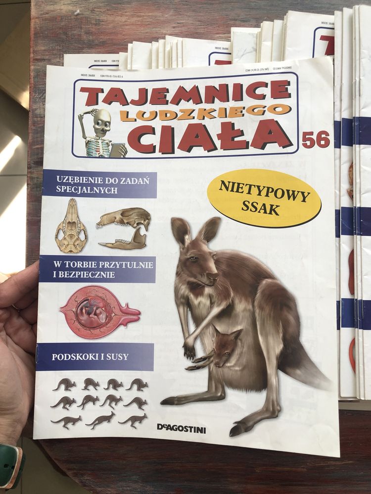 Gazetki tajemnice ludzkiego ciała