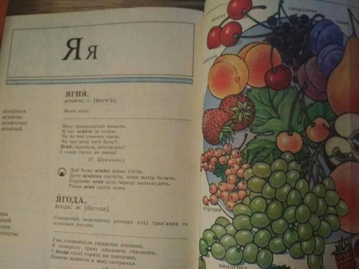 Словник української мови в малюнках
