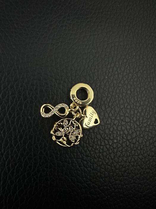 Charms family nowy