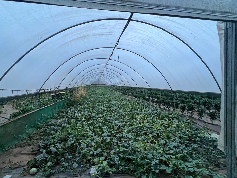 Estufas agrícolas
