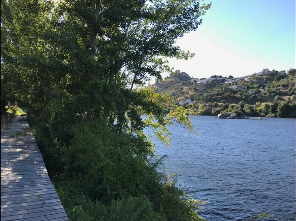 Terreno rústico idílico em Belver, rio Tejo e praia fluvial