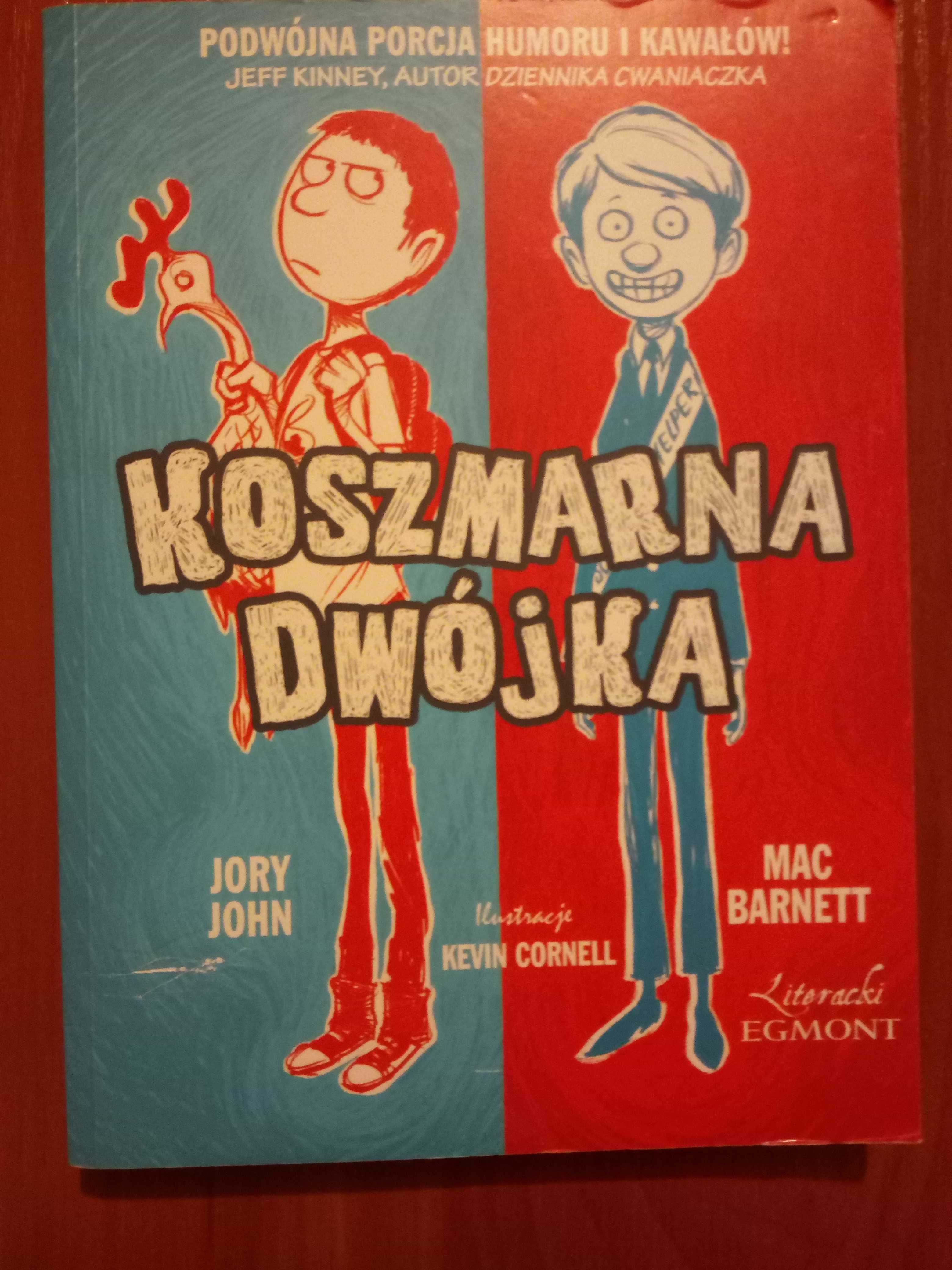 Książka dla dzieci " Koszmarna dwójka"