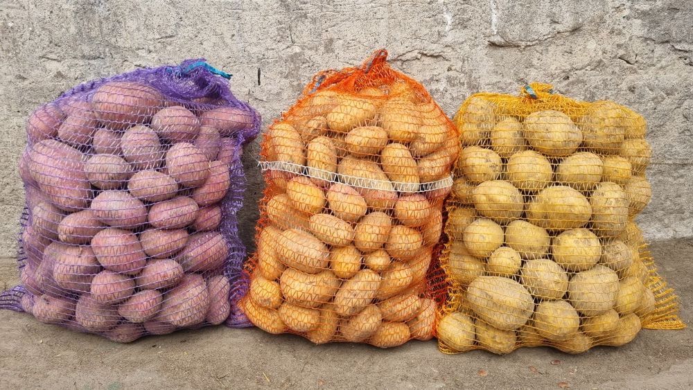 Ziemniaki jadalne Queen Anne, Satina, Esmee (czerwone) 15kg woreczki