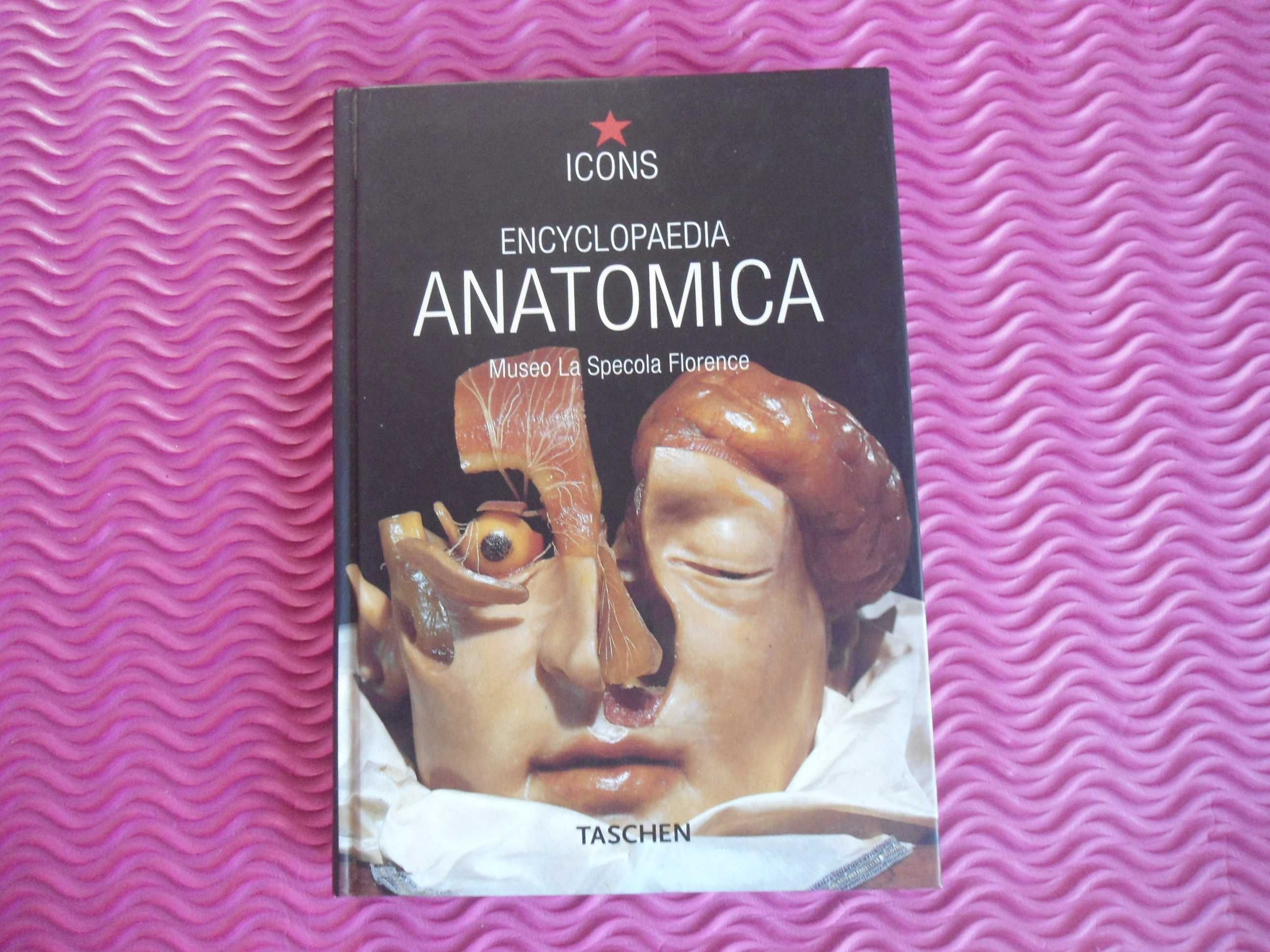 Encyclopaedia Anatomica Museo La Specola Florence (Icons)