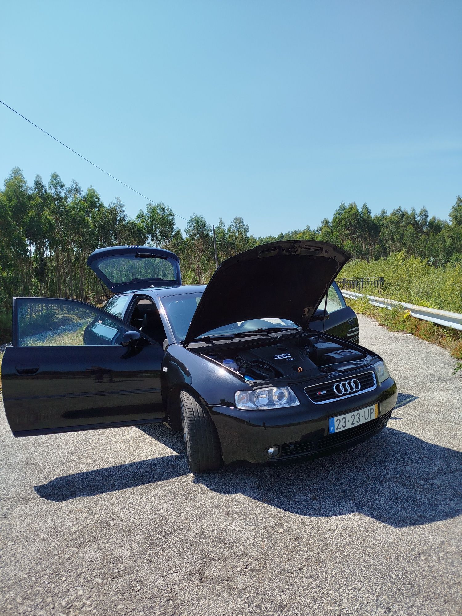 Audi A3 8L 1.9tdi 130cv