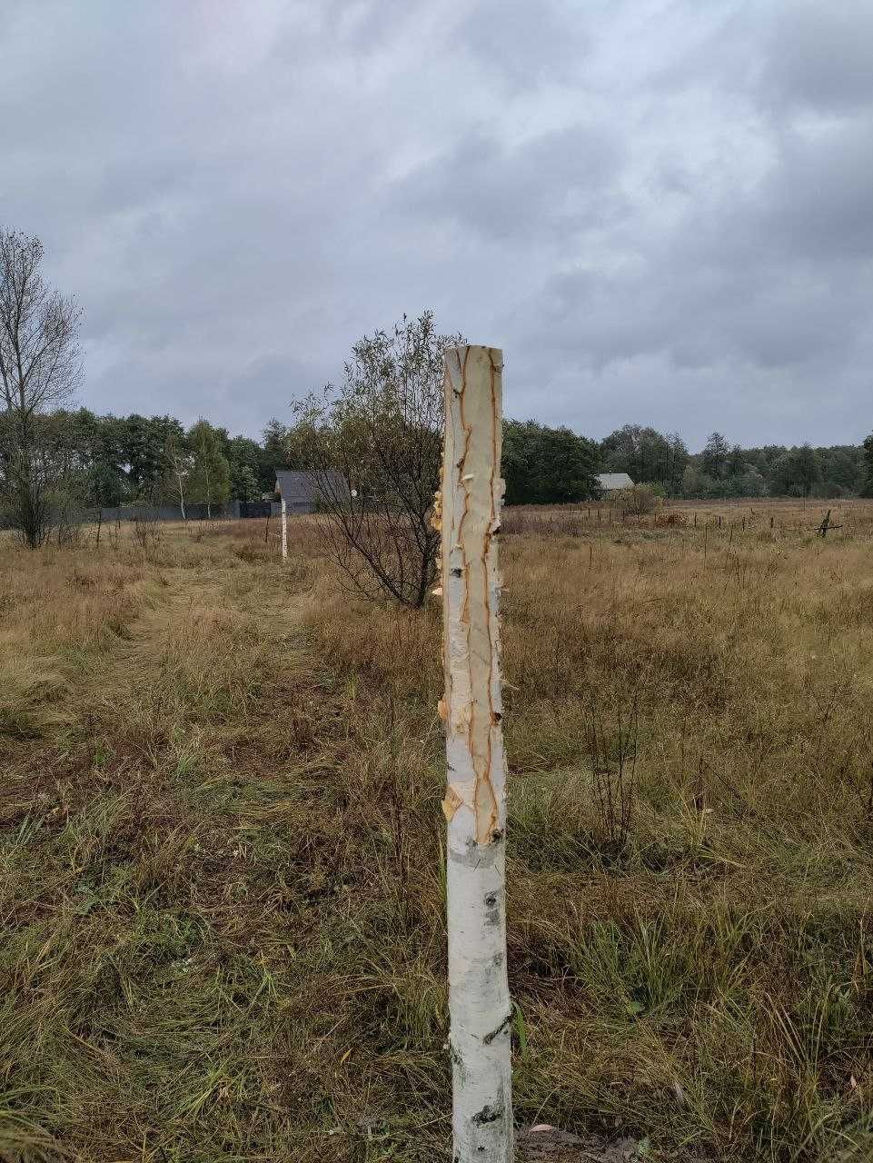 Продам земельну ділянку для індивідуального дачного будівництва