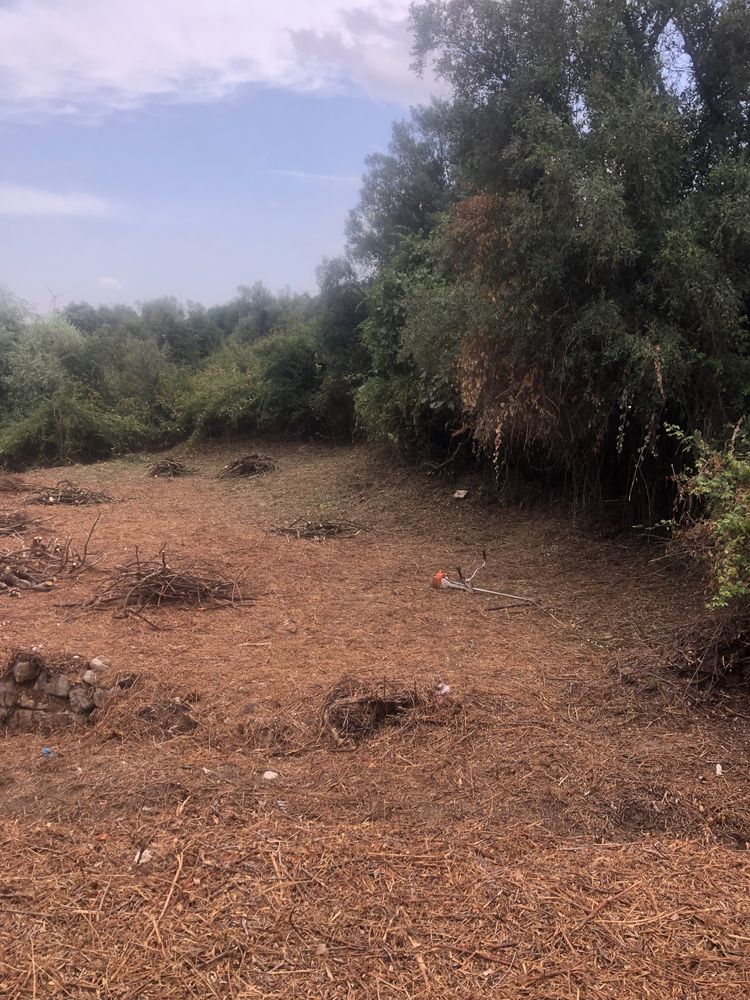 Limpeza terrenos e corte arvores
