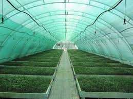 АКЦІЯ!!! Сітка затіняюча SHADOW, AgroStar. Люверси
