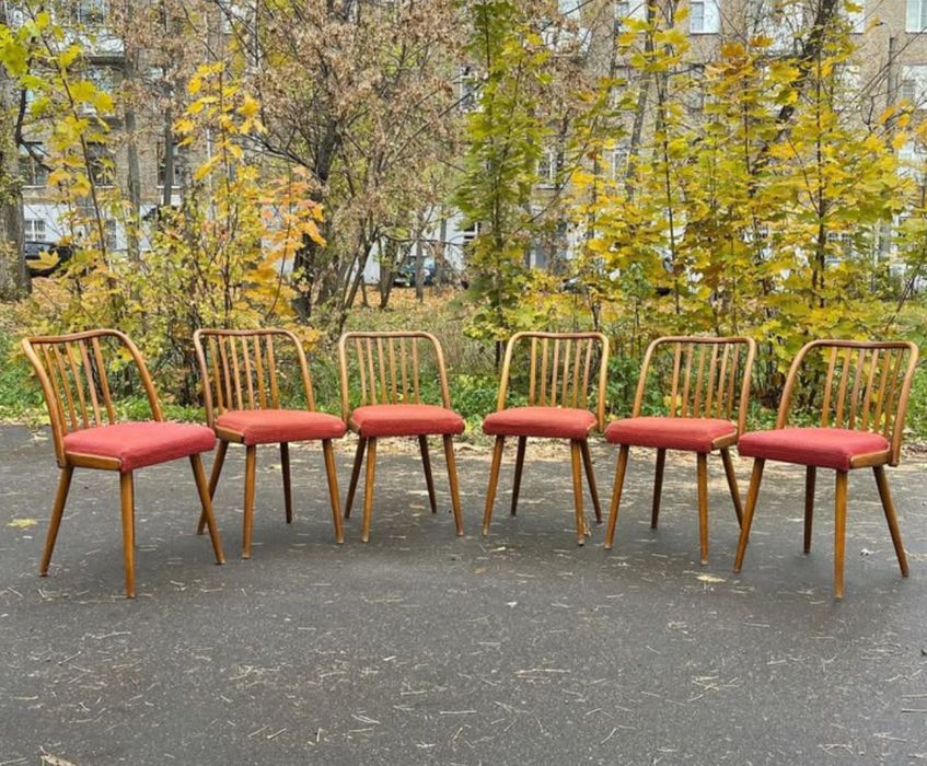 Винтажные буковые стулья Mid century
