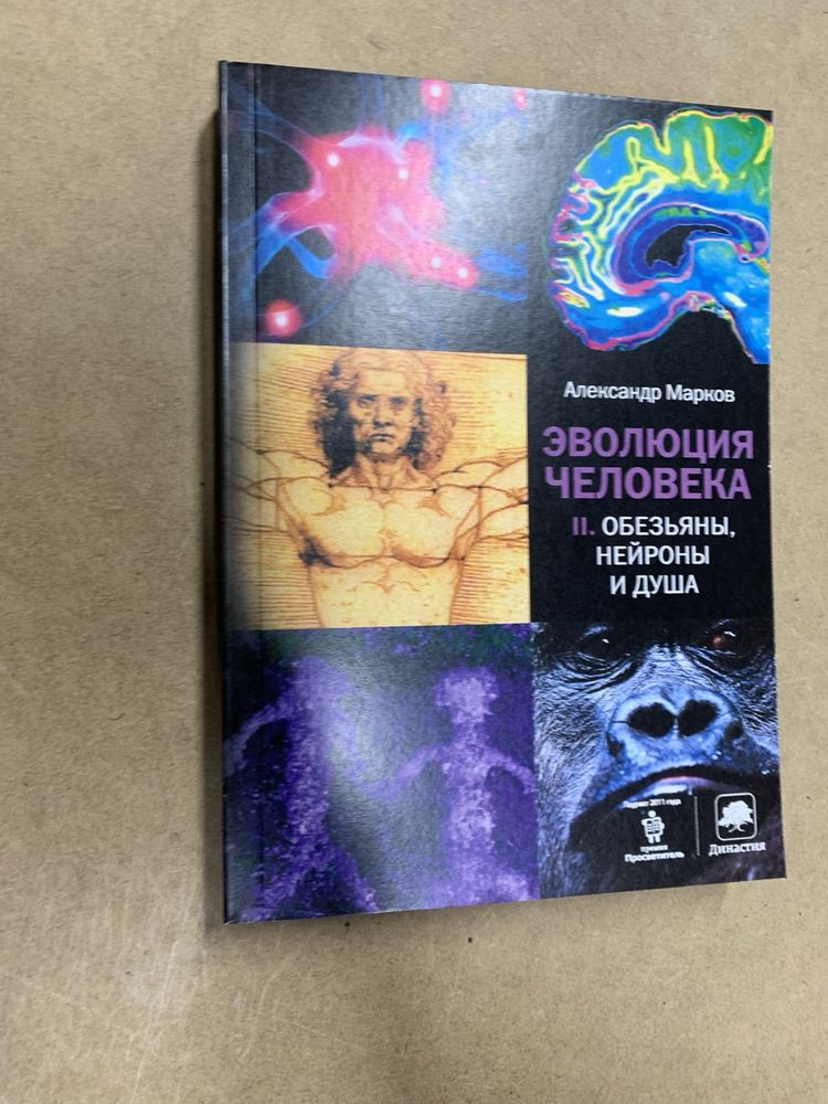 Александр Марков - Эволюция человека. Книга ІІ