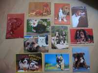 Zestaw pocztówek Pieski Pies Kartki Pocztowe