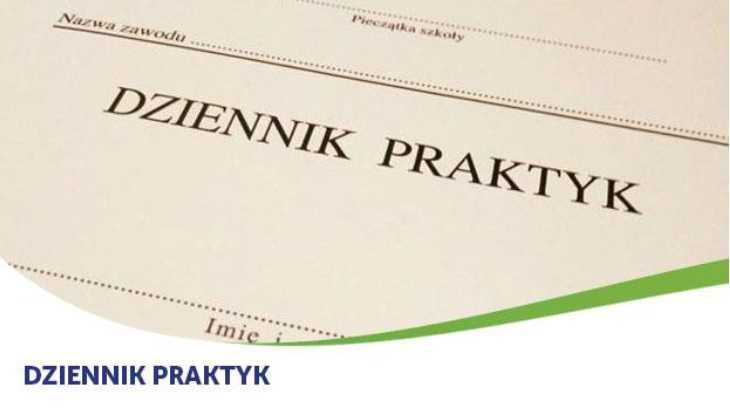 Praktyka zdalna dziennik praktyk logopedia pedagogika inne