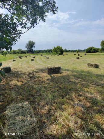 Сено луговое тюки.  Сіно тюки