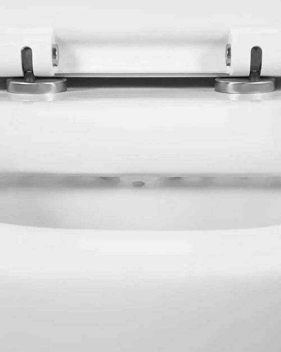 Сидіння для унітазу з мікроліфтом C537853WH AM.PM Bliss L