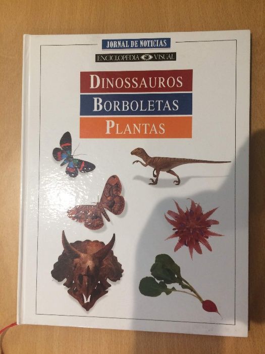 Enciclopédia Visual - Jornal de Notícias