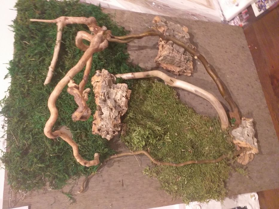 Tło do terrarium planedarium dla felsum gekonow żab żabek