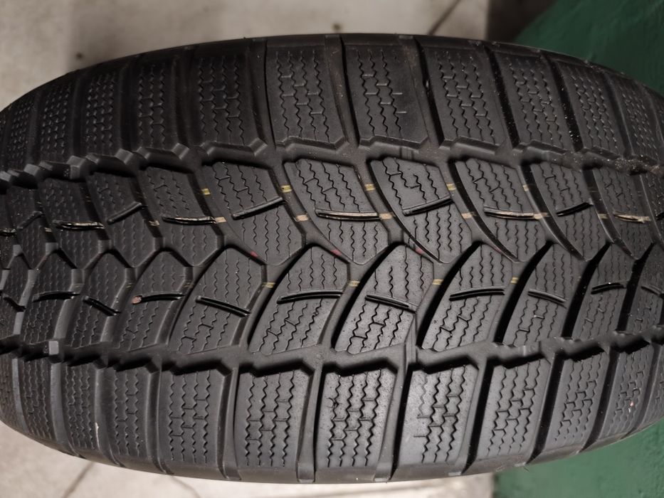 Opony zimowe Firestone Winterhawk 3 205/55/17