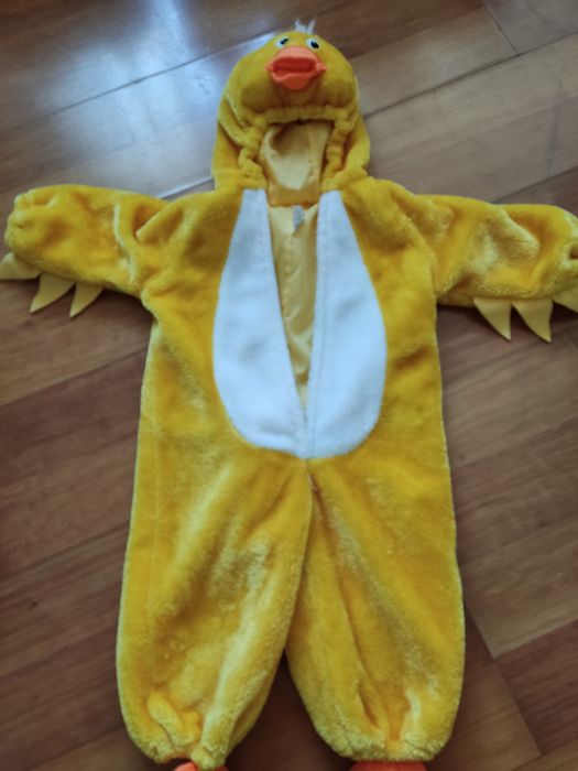 Vendo fato de carnaval