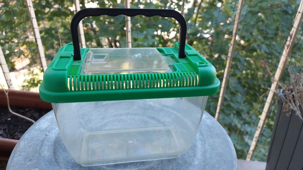 Terrarium transporter 1,5 litra