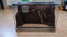Terrarium szklane