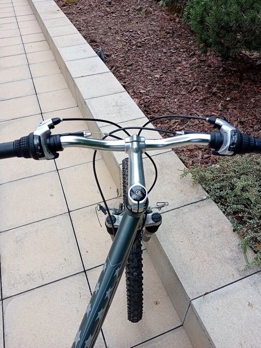 Bicicleta femenina de adulta