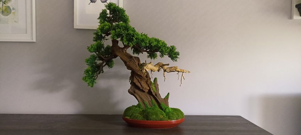 Sztuczne Drzewko BONSAI -  duże
