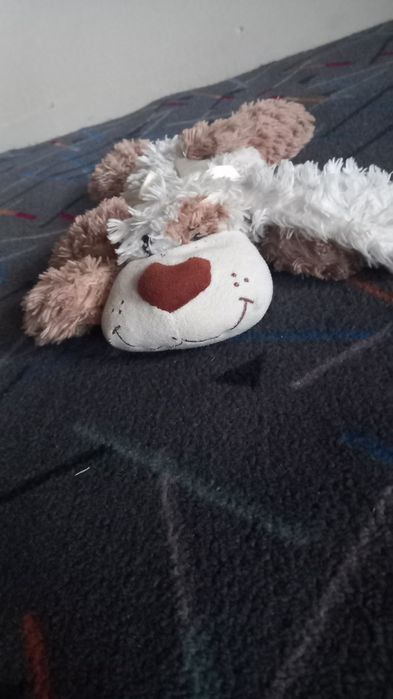 Pies pluszak maskotka