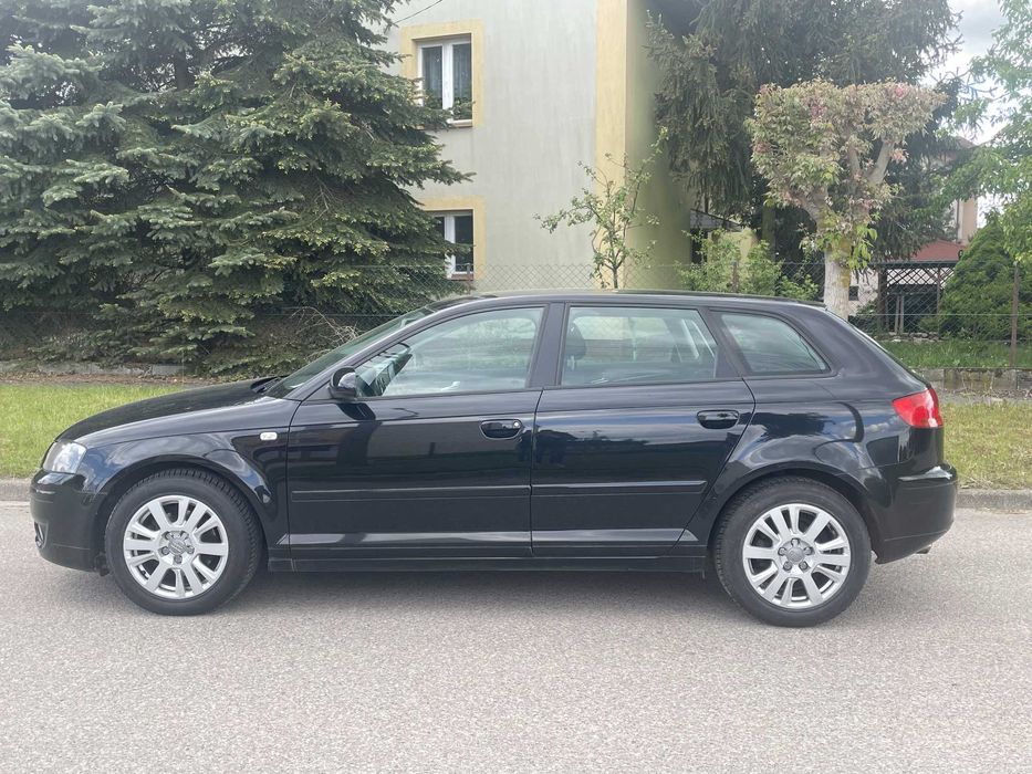 Audi A3 8P 1.8 Benzyna 160KM 2007 Klimatronik, Xenon, Serwis, Oryginał