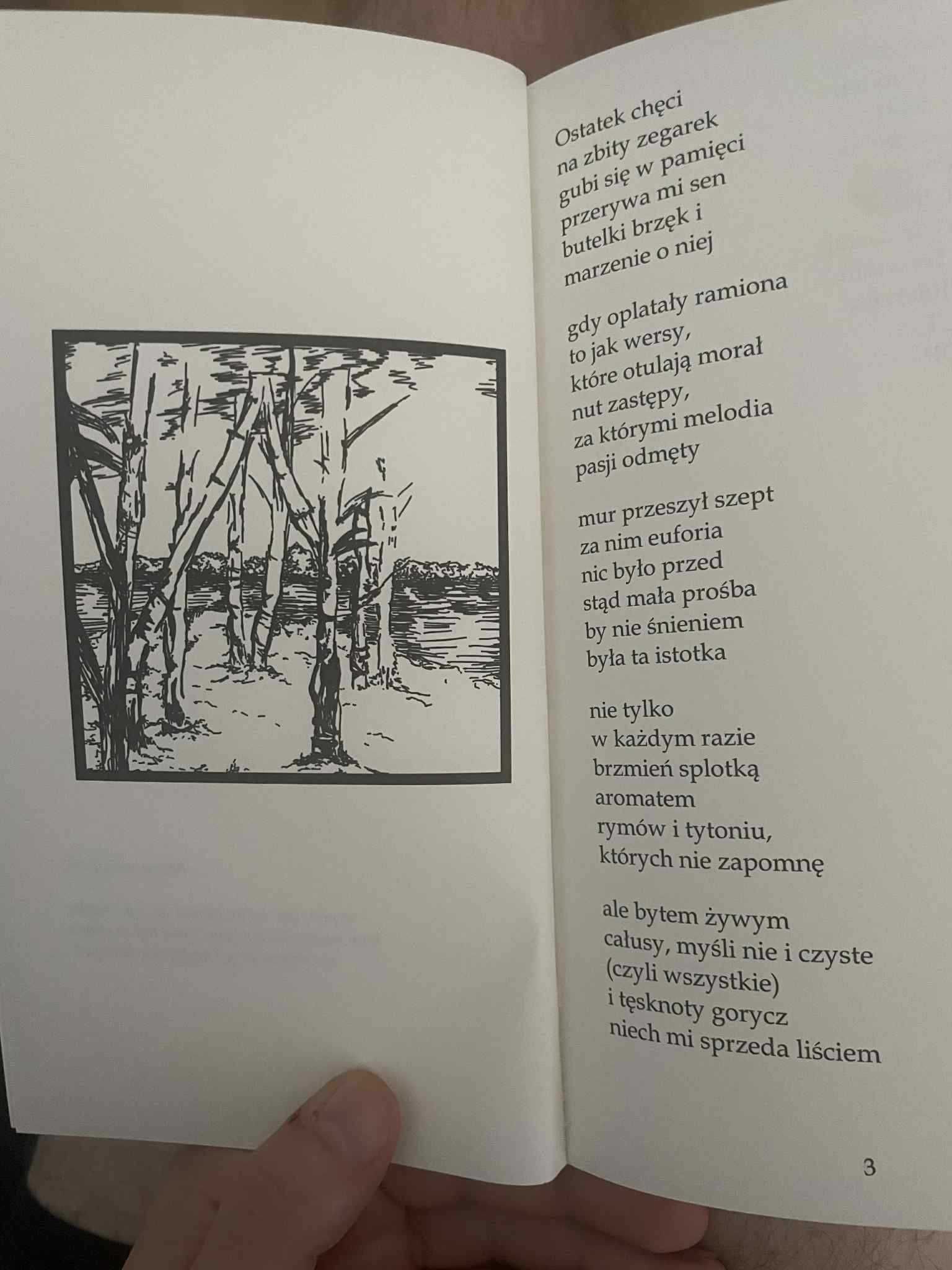Autorski, dwujęzyczny tomik poezji "Odcienie Chłodu"