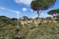 Terreno Para Construção Em Sesimbra 37.500 M² - A 5 Min Da Praia Do Me