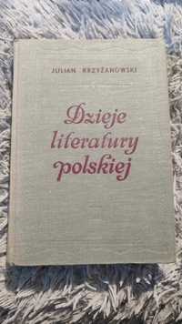 Dzieje literatury polskiej