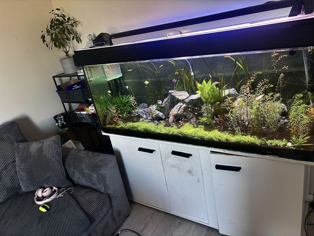 Sprzedam akwarium 450l wraz z dodatkami