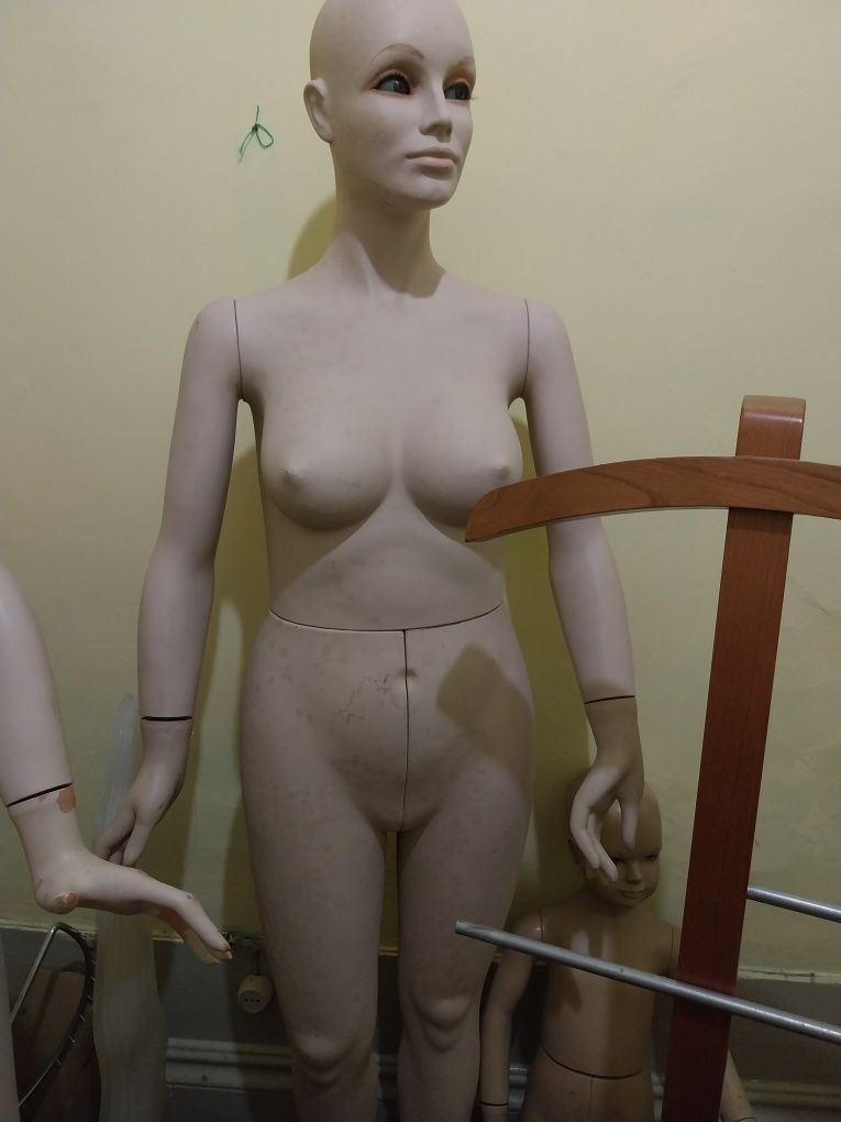 Manequins e Bustos