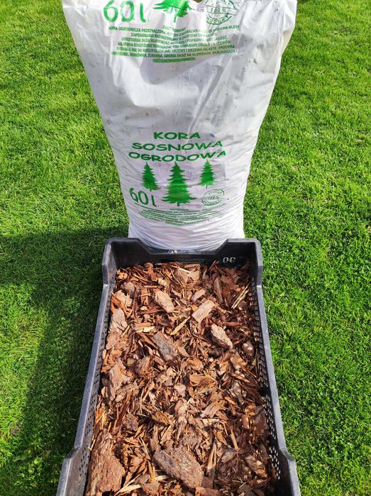 Kora sosnowa średnia niesortowana 60l