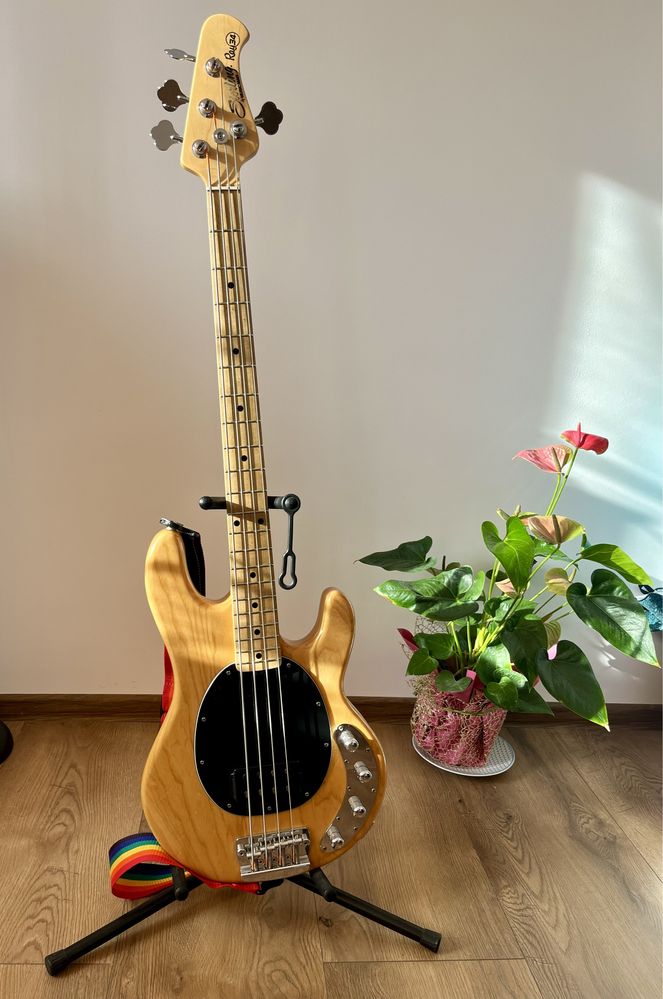 Gitara basowa bas Sterling Music Man Ray34 Natural Ash 4 strunowy