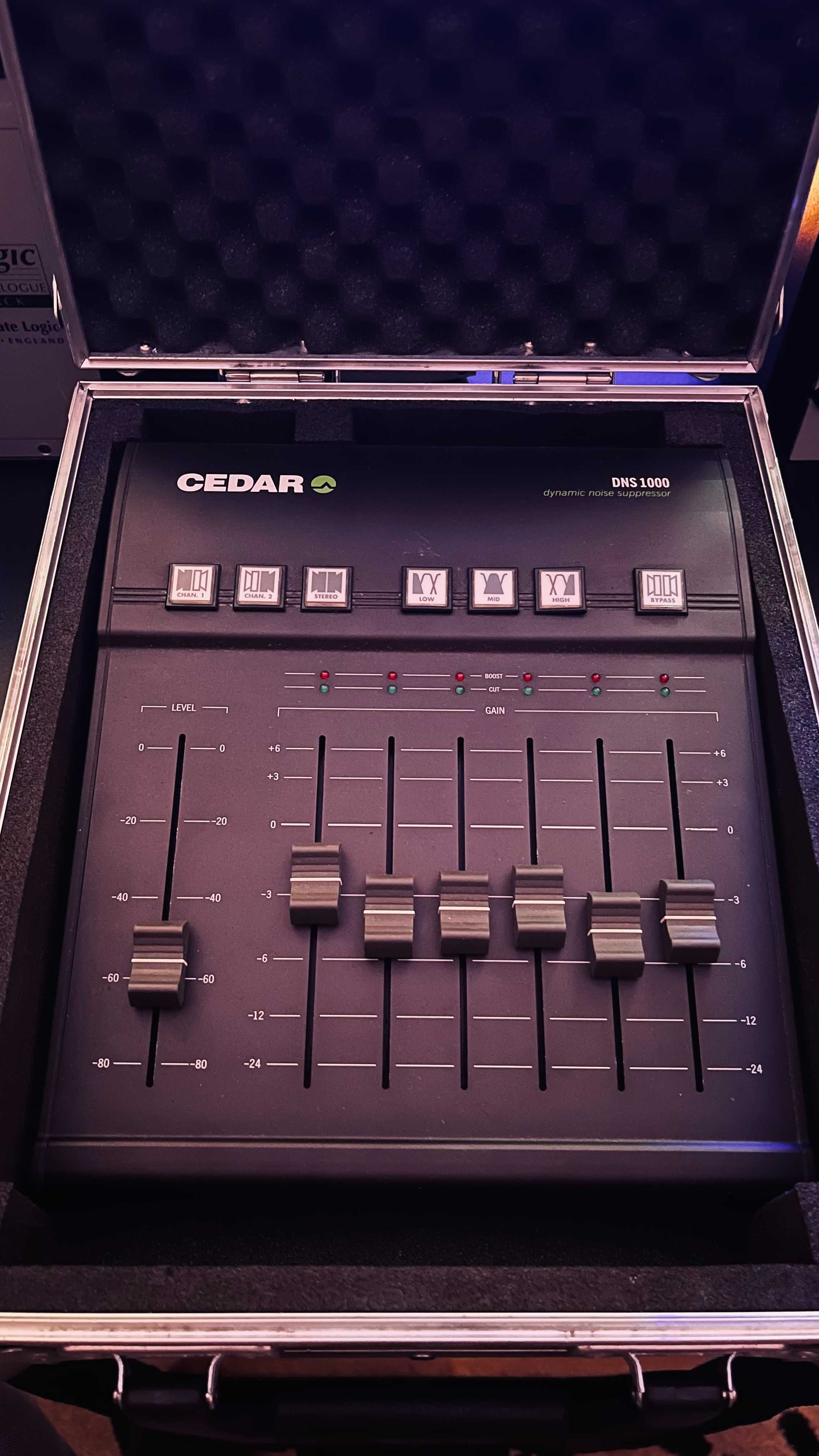 CEDAR DNS 1000 Dynamic Noise Suppressor