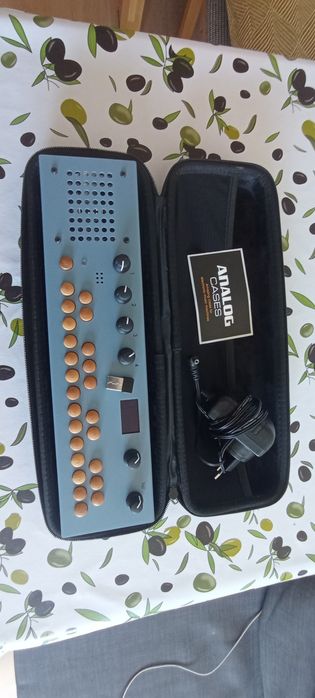 Organelle M Critter & Guitari