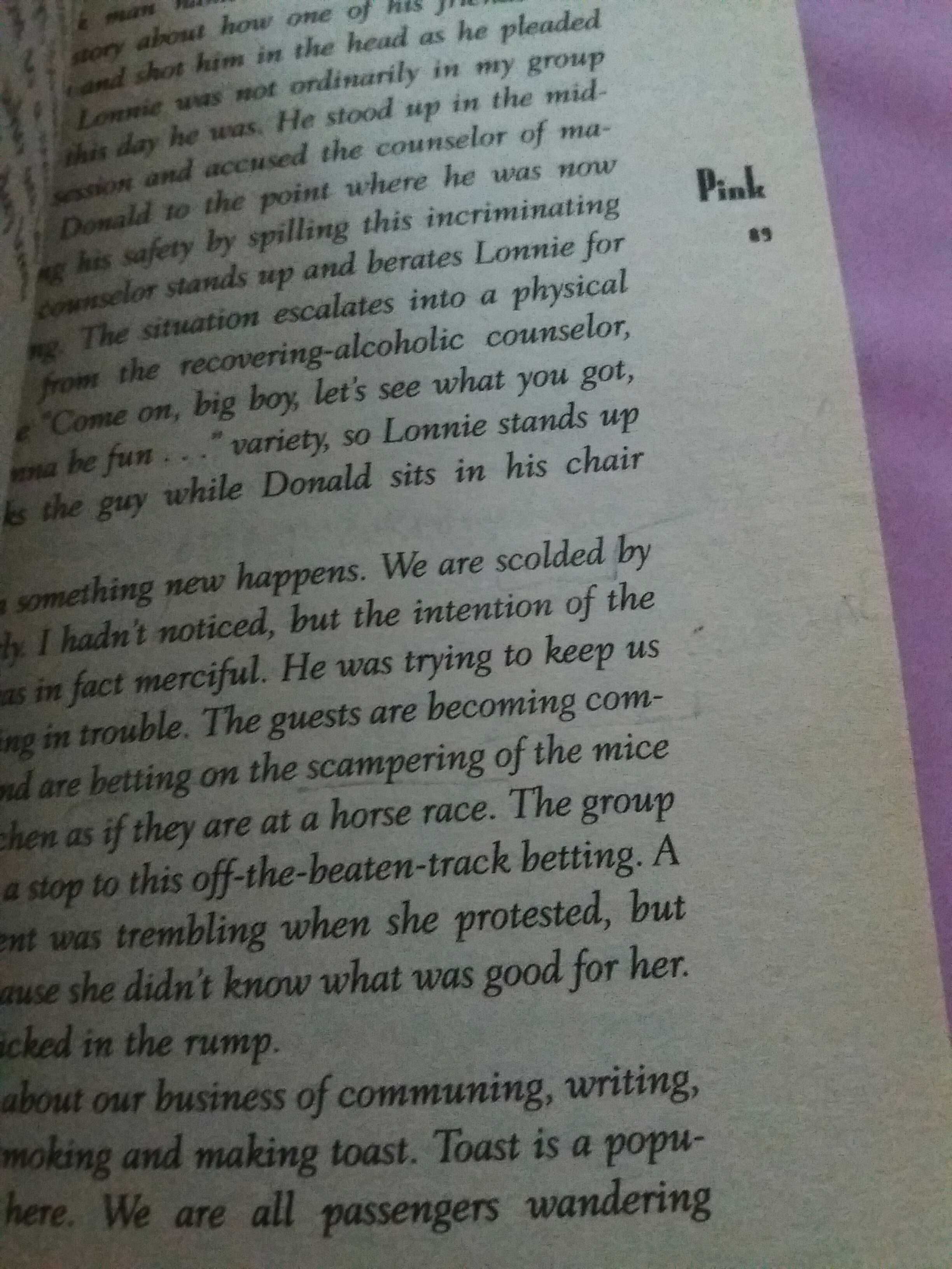 Pink Gus van Sant książka po angielsku bdb