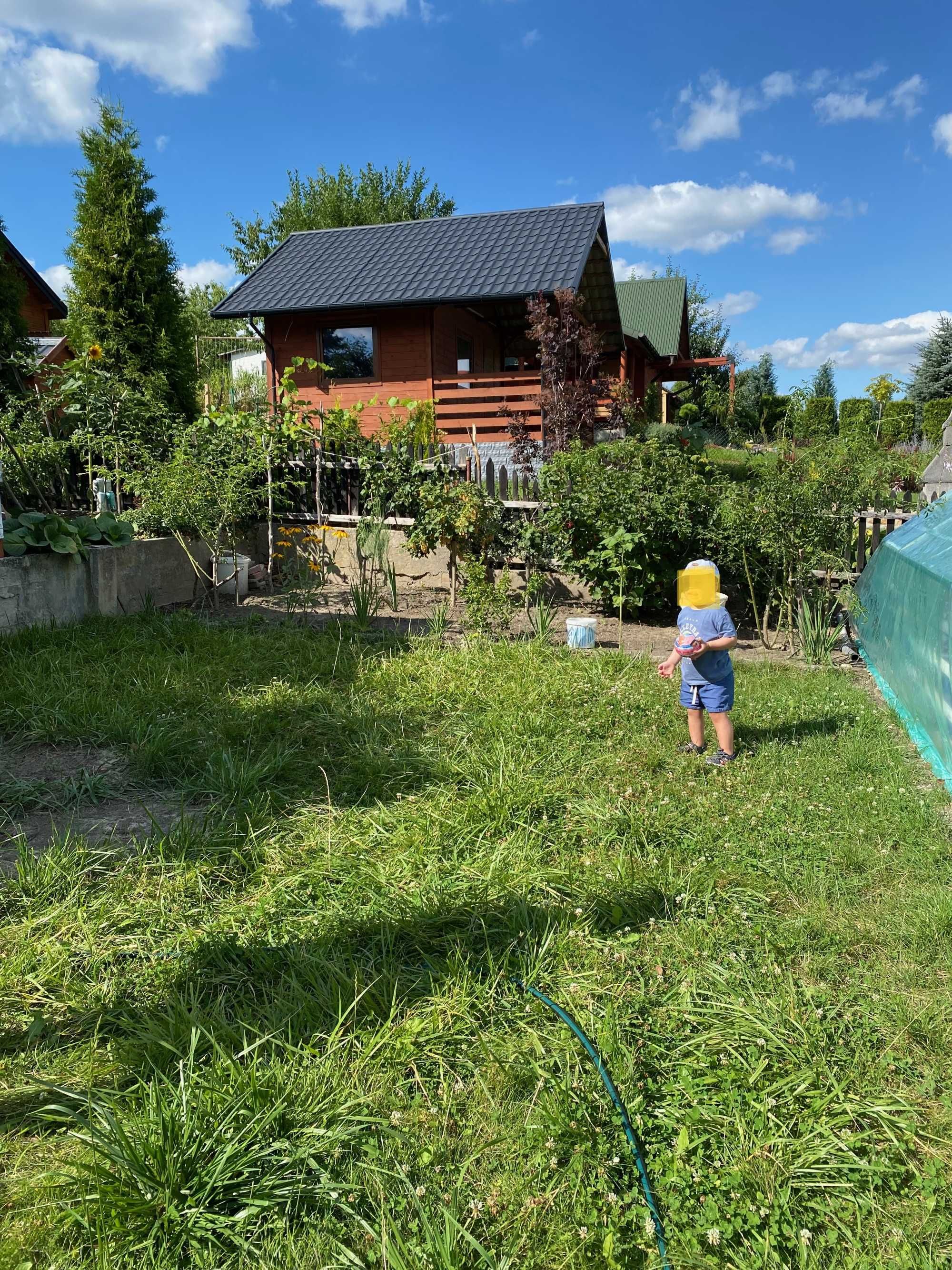 Sprzedam ogród działkowy ROD 300m2 ul. Nowowiejska, Starachowice