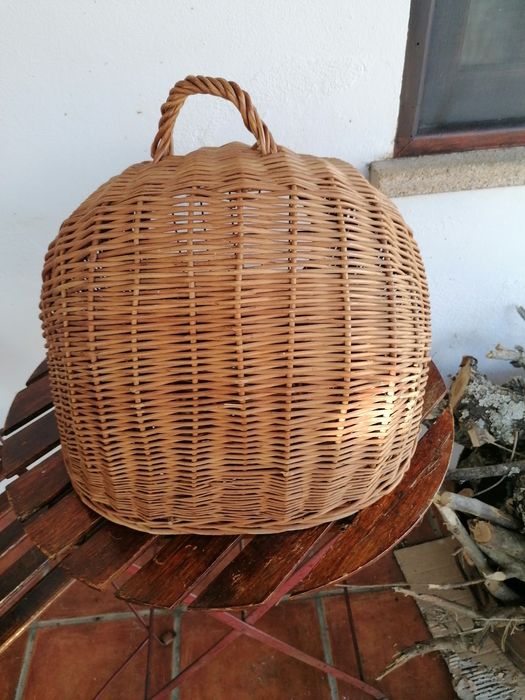 Transportadora para animais