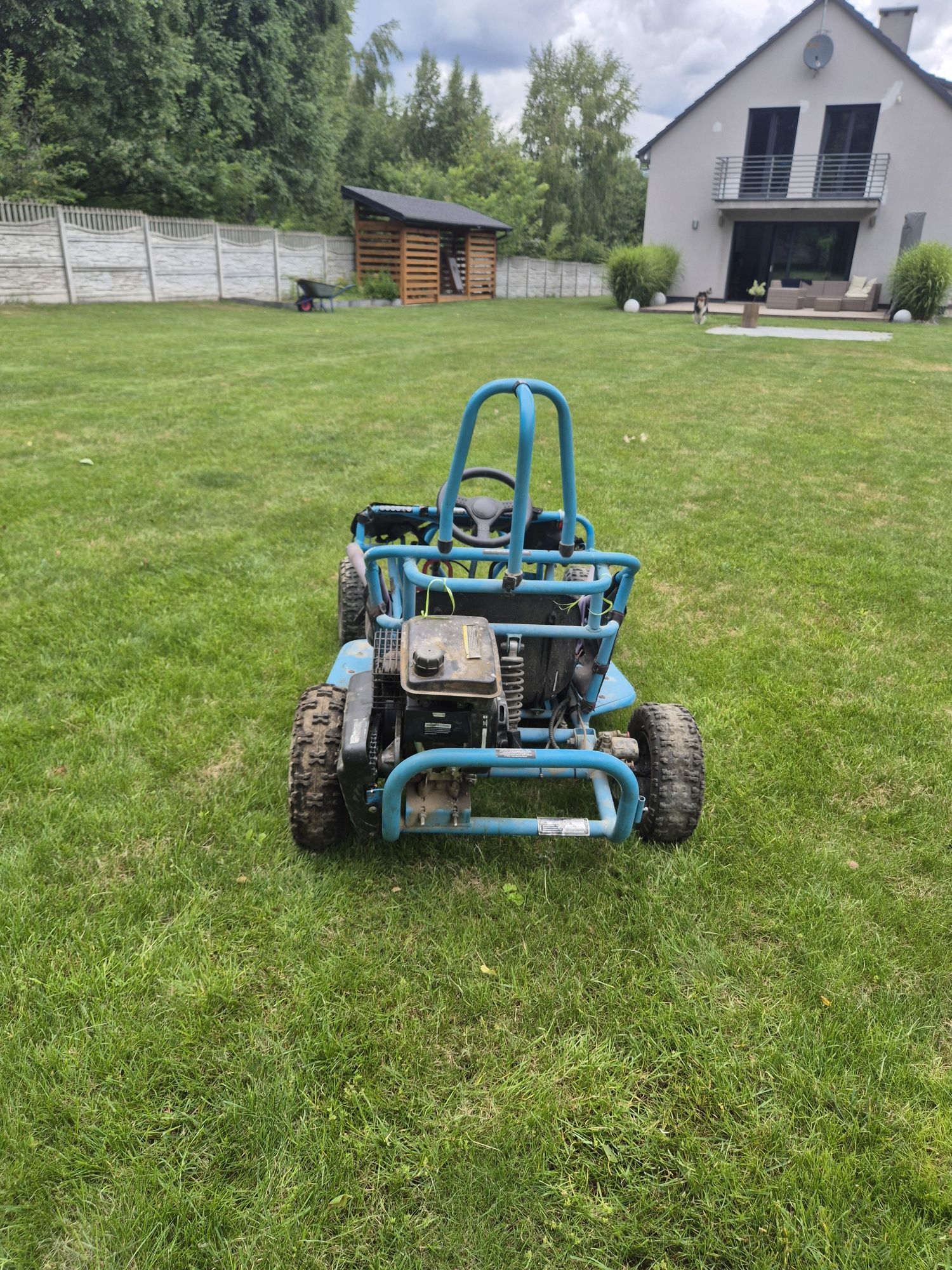 Buggy dla dziecka