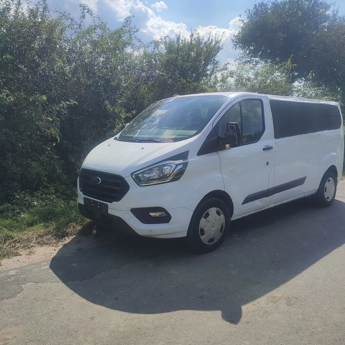Ford Transit Custom custom van
