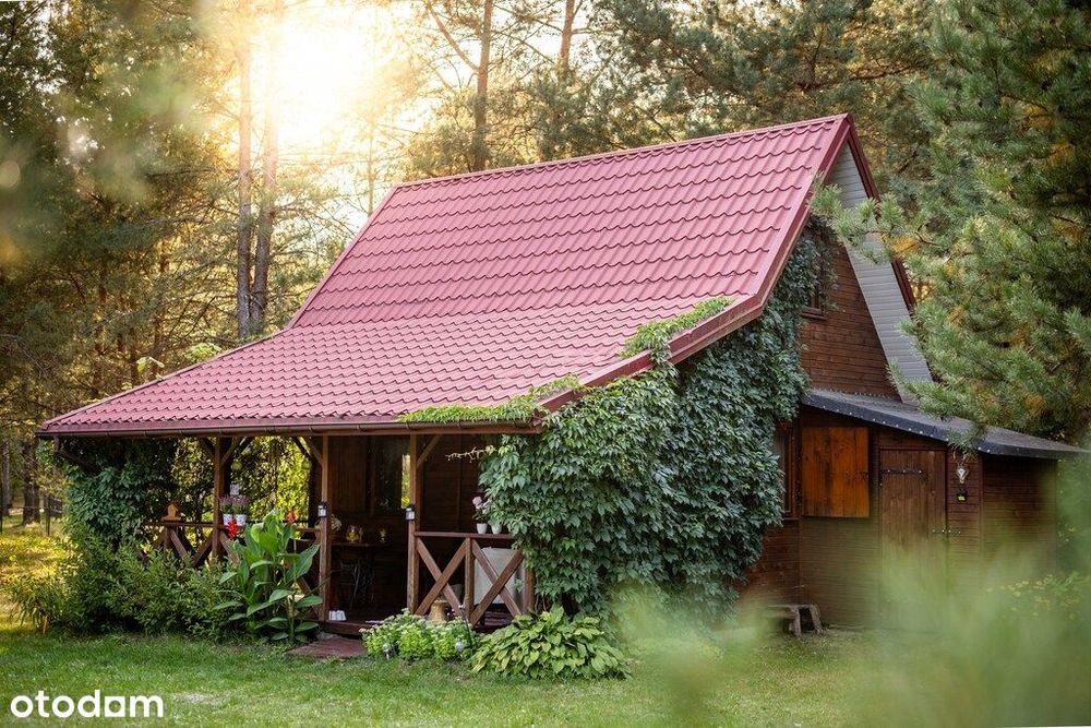 Duża działka z domkiem letniskowym