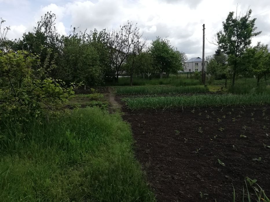 Продам дом Багрын Фастовский район.